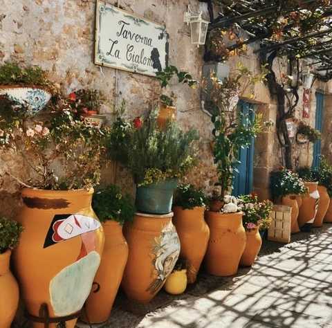Potted plants outside Taverna La Cialoma in Sicily