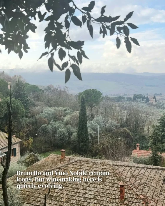 A Tuscan hillside landscape with cypress trees, olive groves and tiled rooftops.