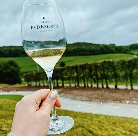 A glass of white wine held over Domaine Evremond vines in Kent