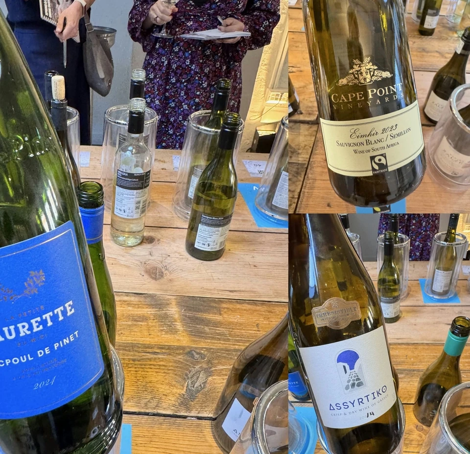 Semillon wine tasting with open bottles and tasting glasses