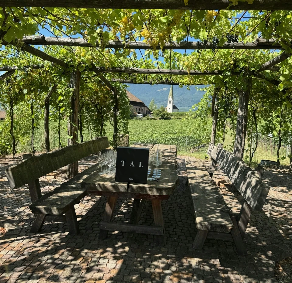 Wine tasting table beneath a grapevine pergola, with vineyards, church and mountains beyond