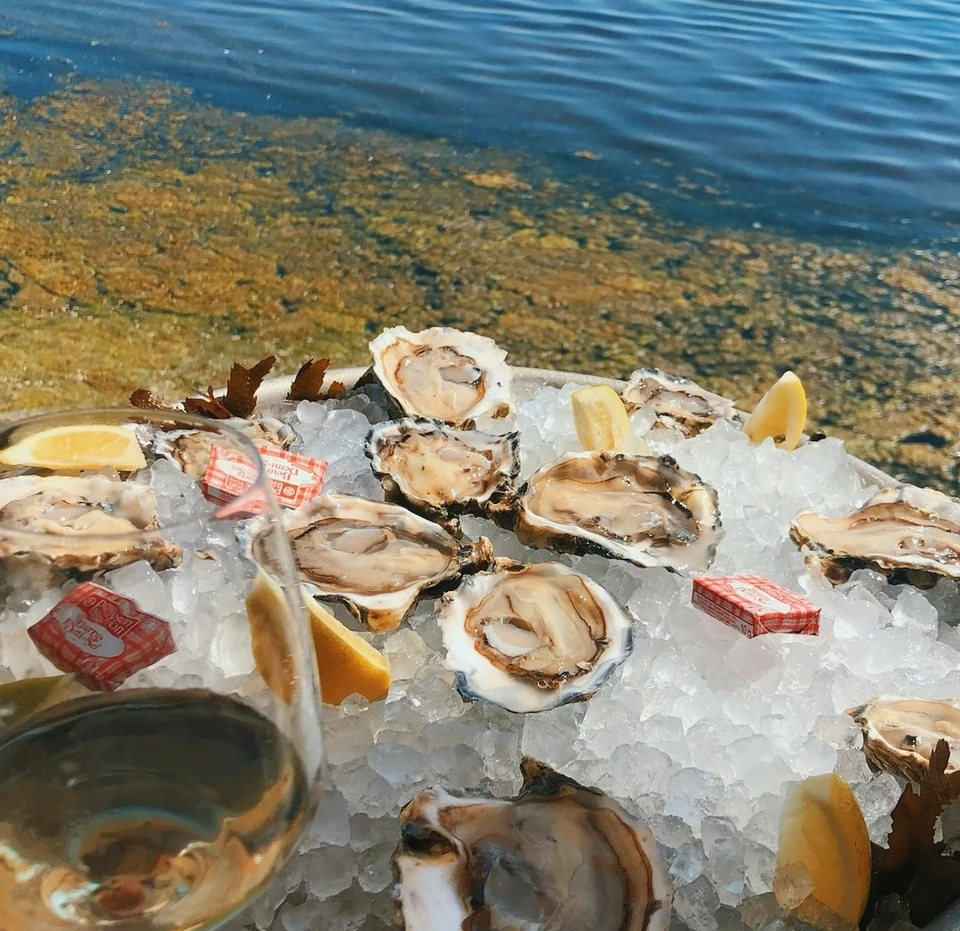 Oysters on ice with lemon wedges and a glass of wine beside the water