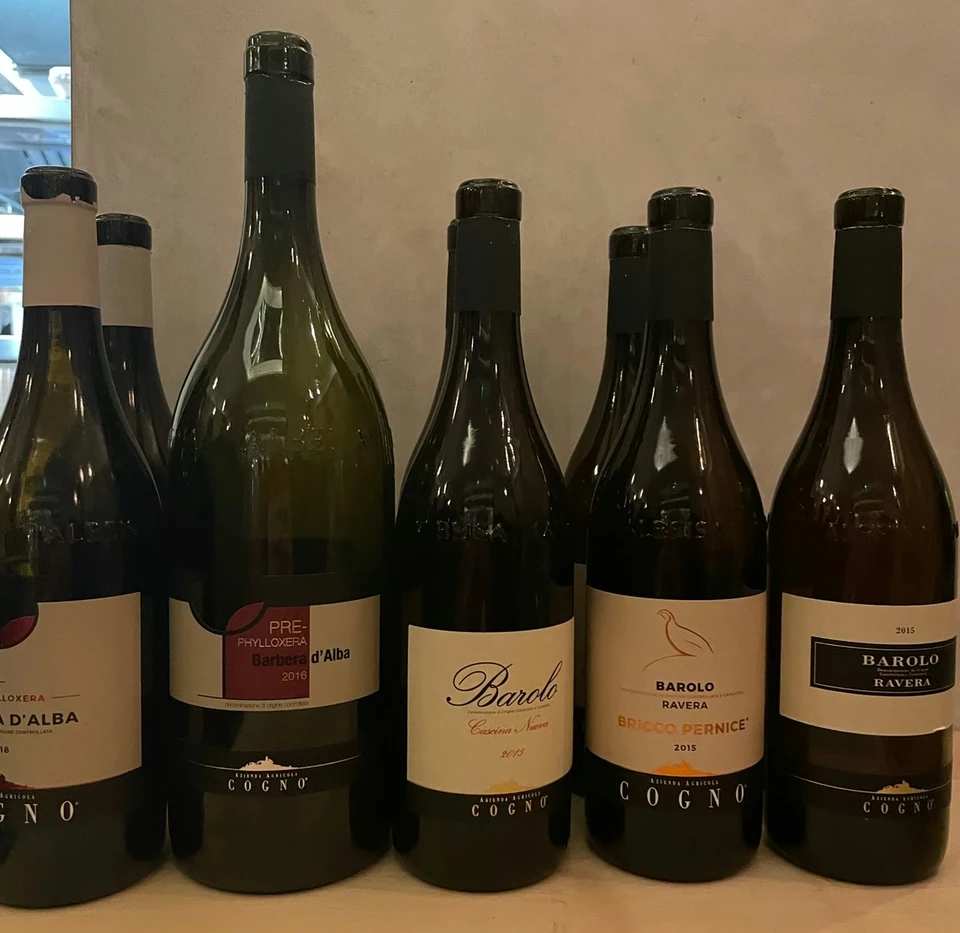 A row of Barbera d'Alba and Barolo wine bottles on a shelf