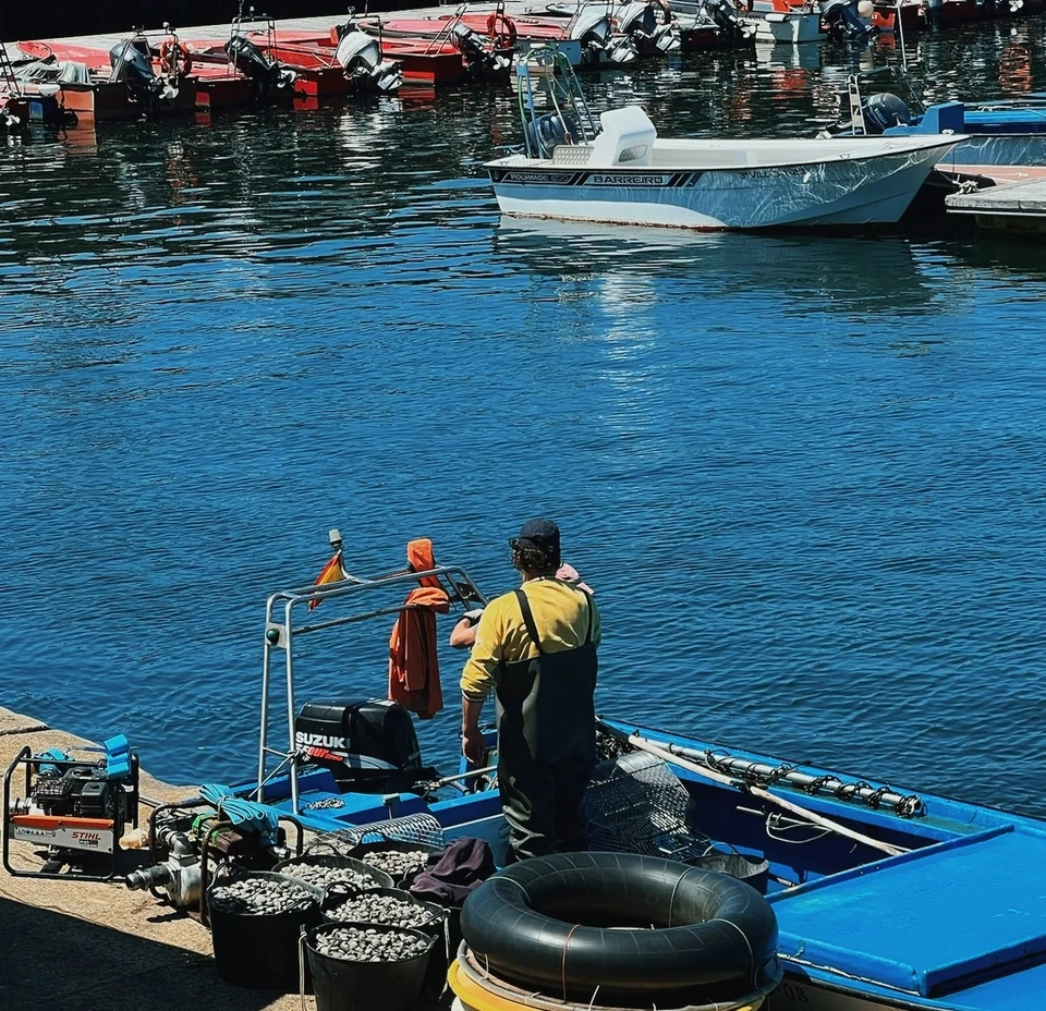 Fishing boats moored in a Rías Baixas harbour, with people working on a blue boat