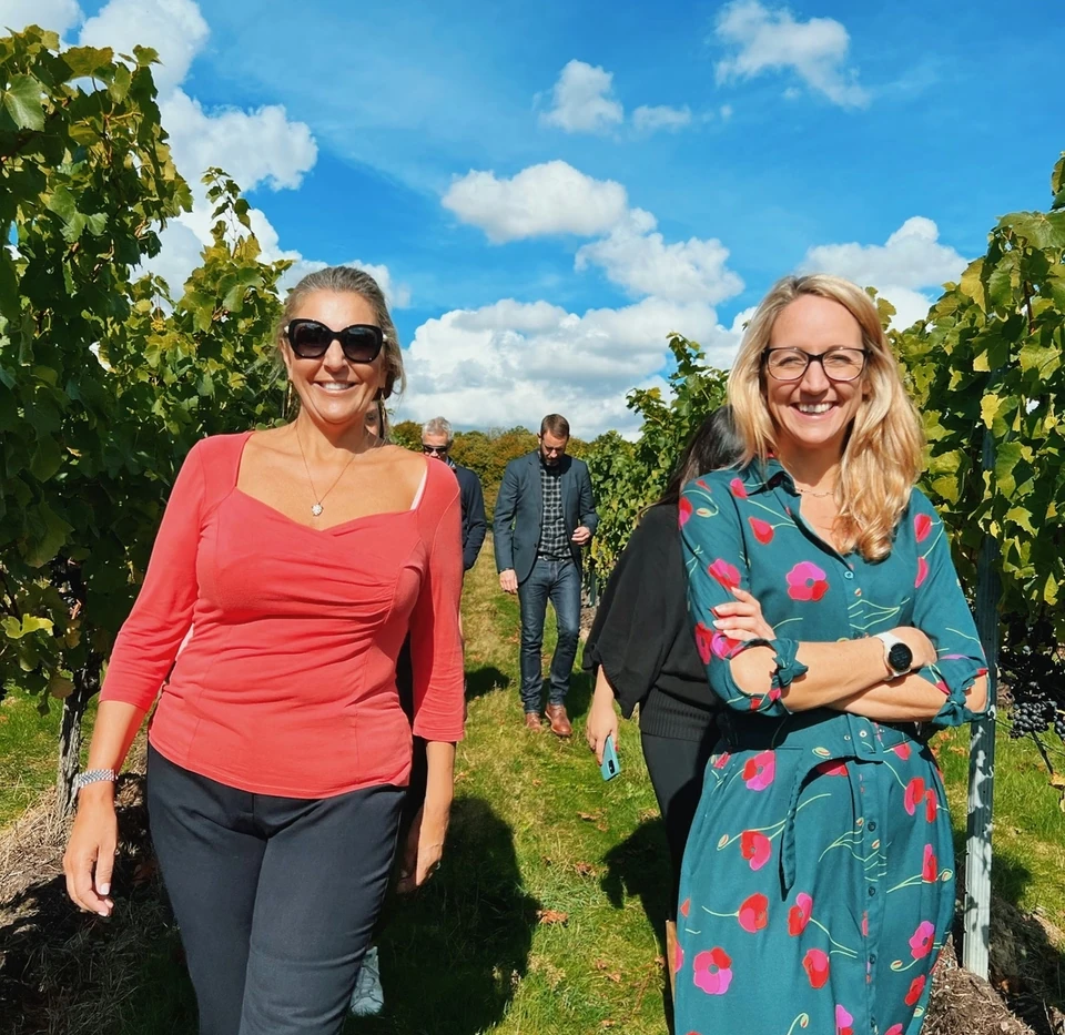 Visitors standing between rows of grapevines at an English vineyard