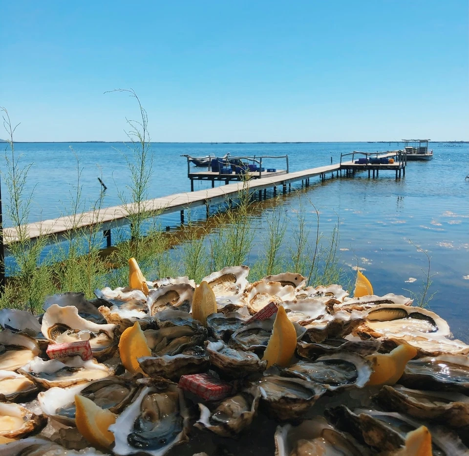 Platter of oysters and lemon wedges beside a wooden jetty on a sunlit blue estuary