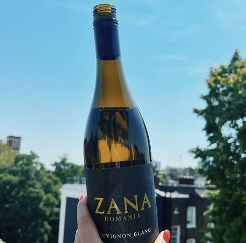 Hand holding a bottle of Zana Romania Sauvignon Blanc against a sunny urban backdrop