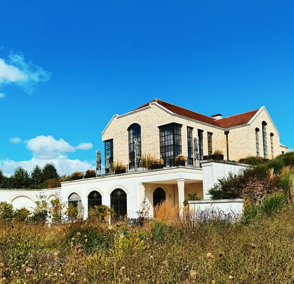 Exton Park winery building behind a wildflower meadow under a bright blue sky