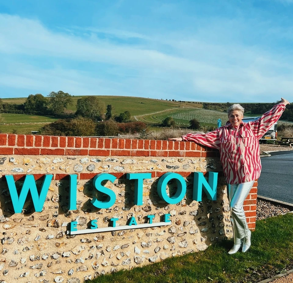 Person standing beside the Wiston Estate sign, with vineyard-covered hills behind