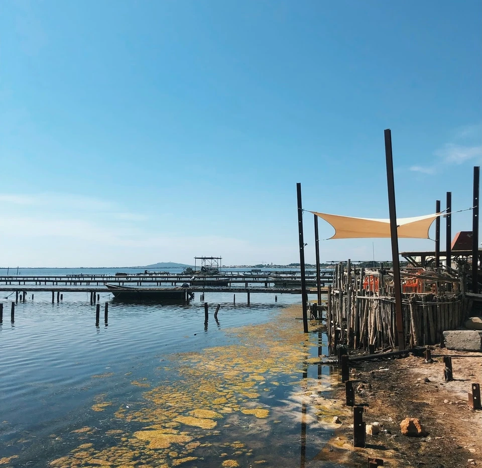Oyster beds and waterfront structures beside a sunshade on a bright blue day