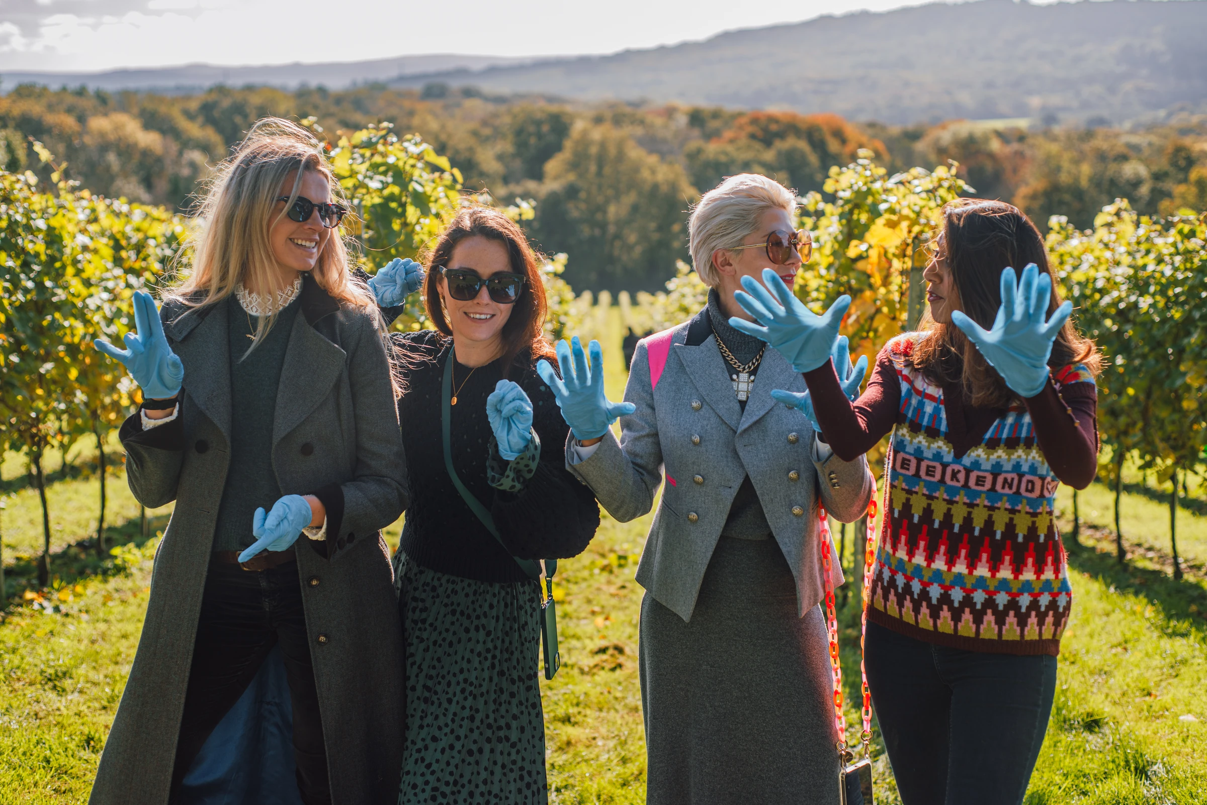Four guests in picking gloves among the vines at an English harvest