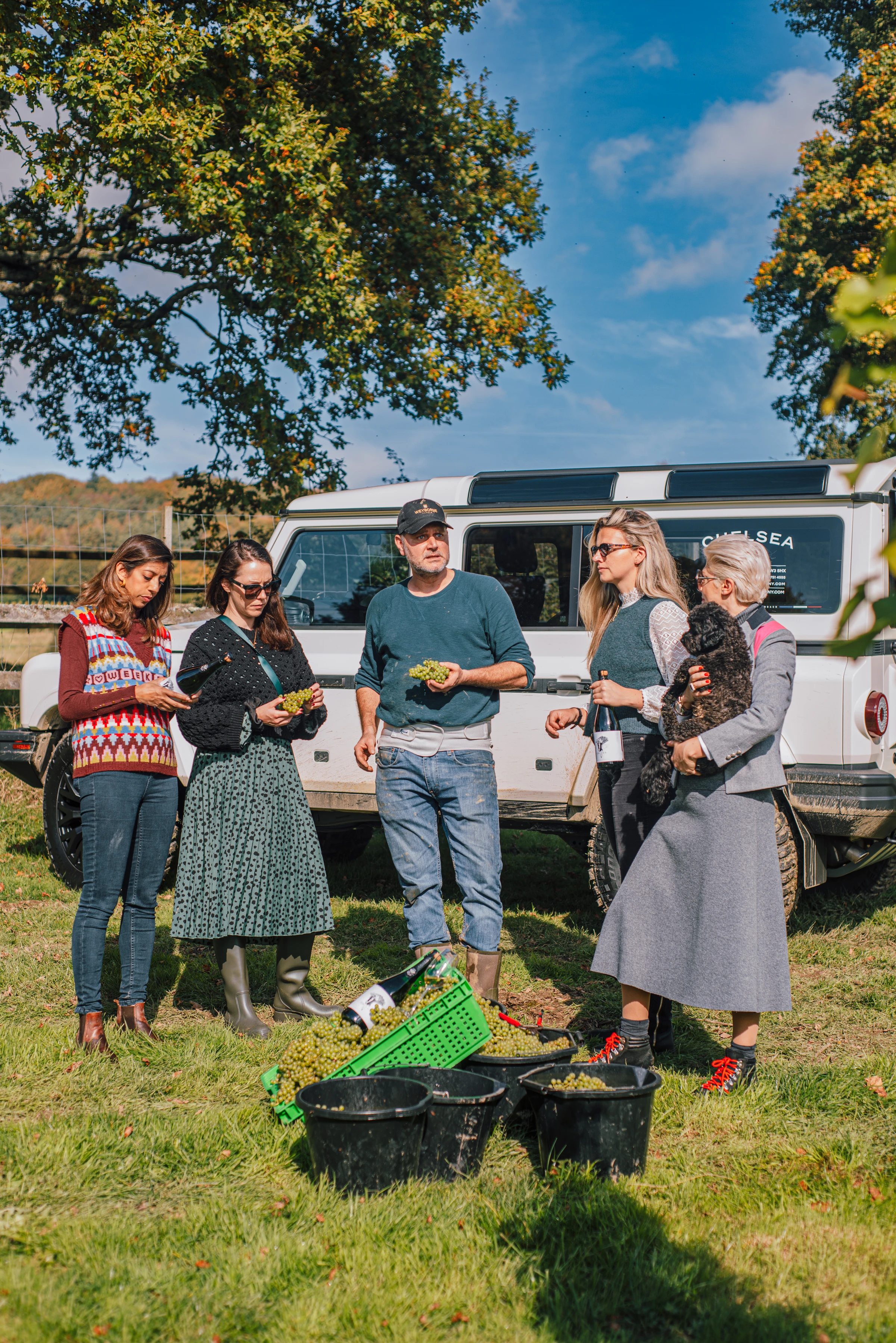 Guests holding bunches of grapes beside picking crates at an English vineyard harvest